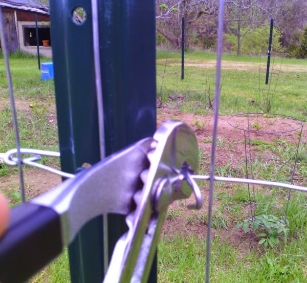 Speechless Workin Stiff Installing TPost Clips on Garden Fence