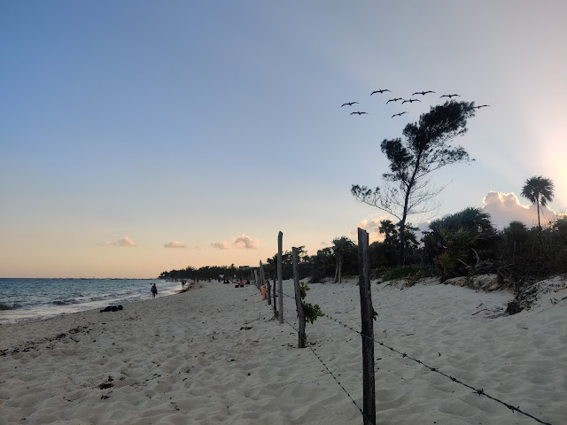 How To Explore Yucatan Peninsula In Mexico playa del carmen