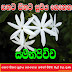 ගතට සිතට සුවය ගෙනෙන සමන් පිච්ච මල් වල ගුණ (Saman Pichcha Mal)