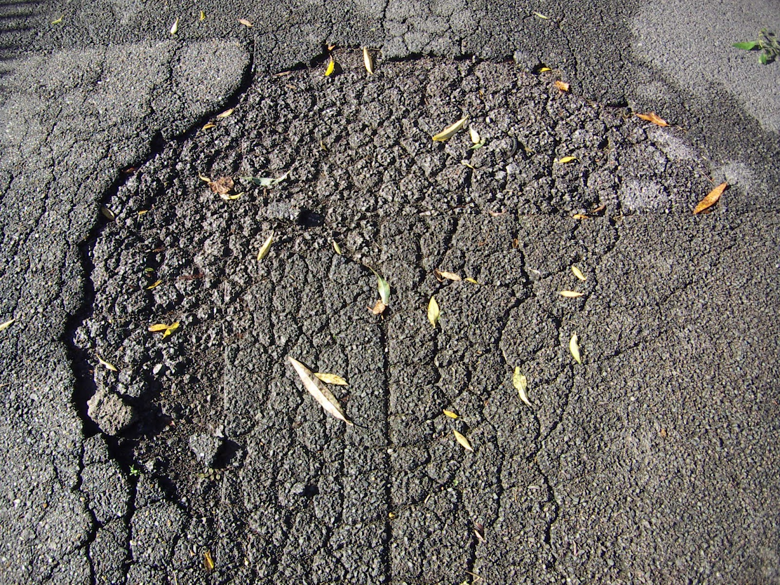 toheroa jim Alligator cracking of asphalt pavements