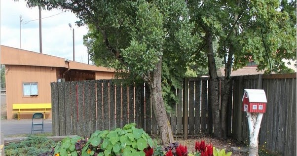 √√ Stone Raised GARDEN Bed | Home Interior Exterior Decor & Design Ideas