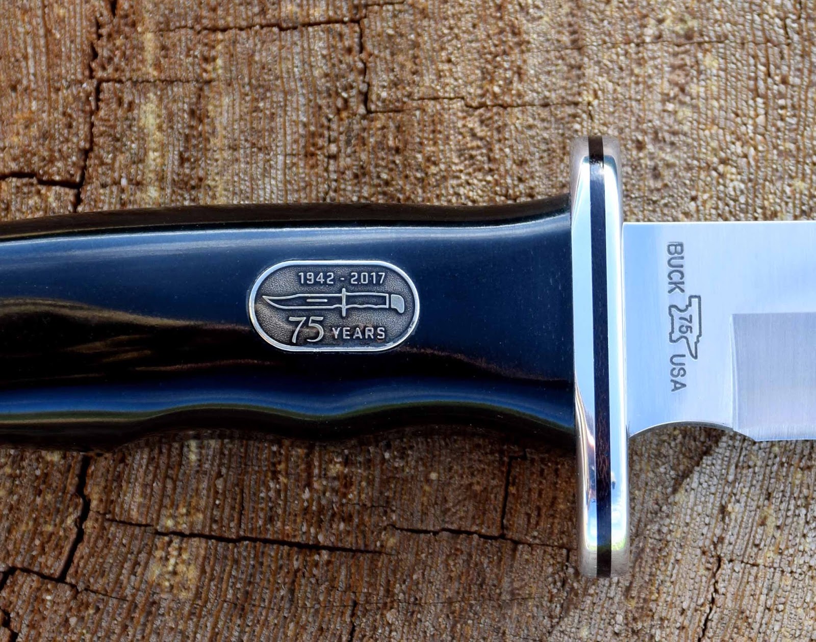 Buck 119 Special