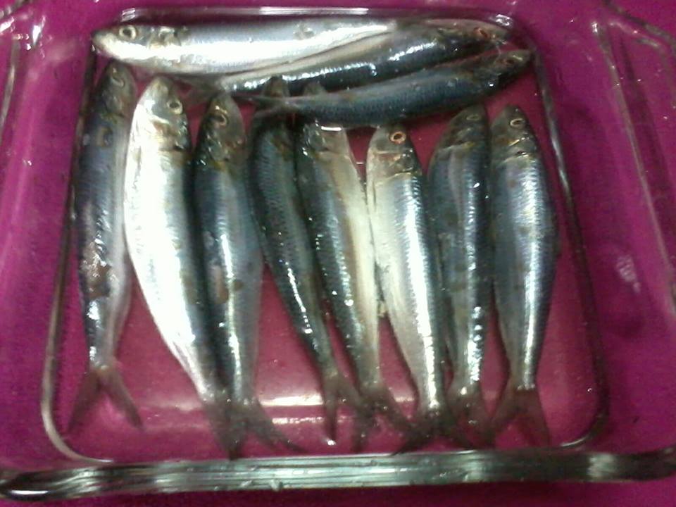 Rockin' the Mom Role Homemade Tinapa ( Smoked Fish without a Smoker ) Rockin' the Mom Role Homemade Tinapa ( Smoked Fish without a Smoker )