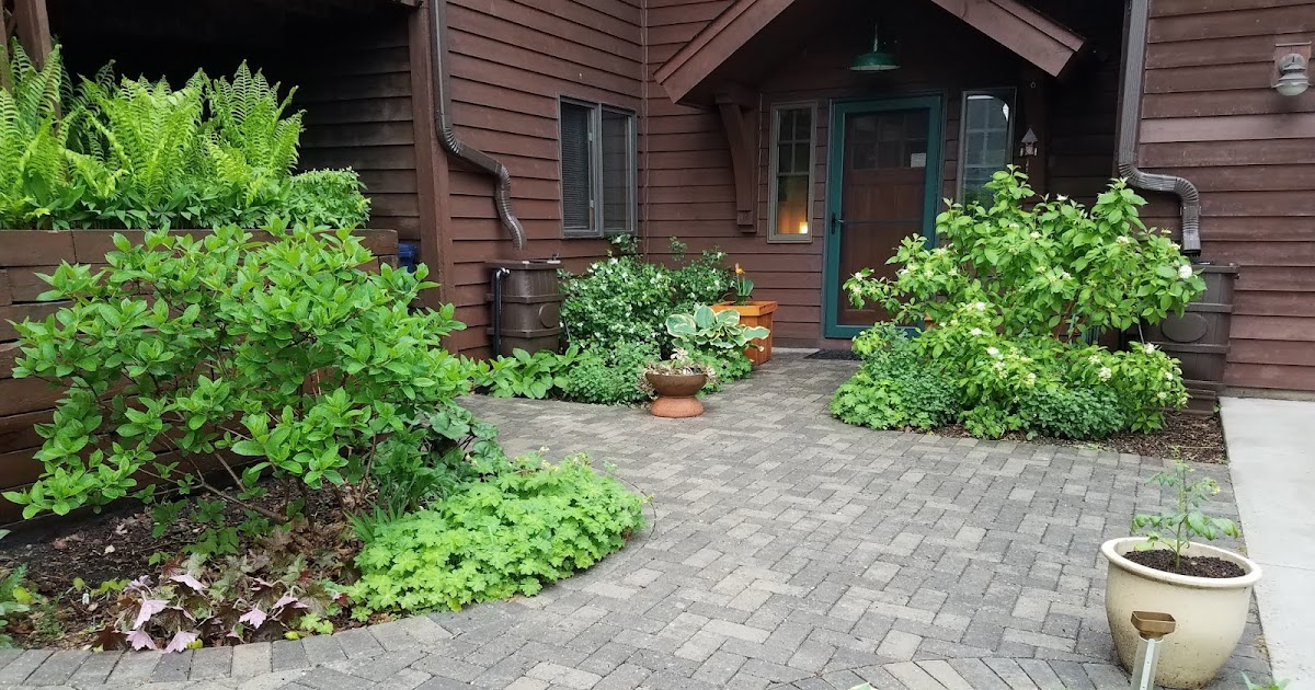 No Lawn Garden Ideas Uk