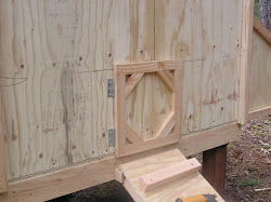 chicken coop door pop building chickens doors rogue going exit smaller important enter