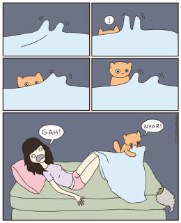 gato-curiosidad-ataque-traicion