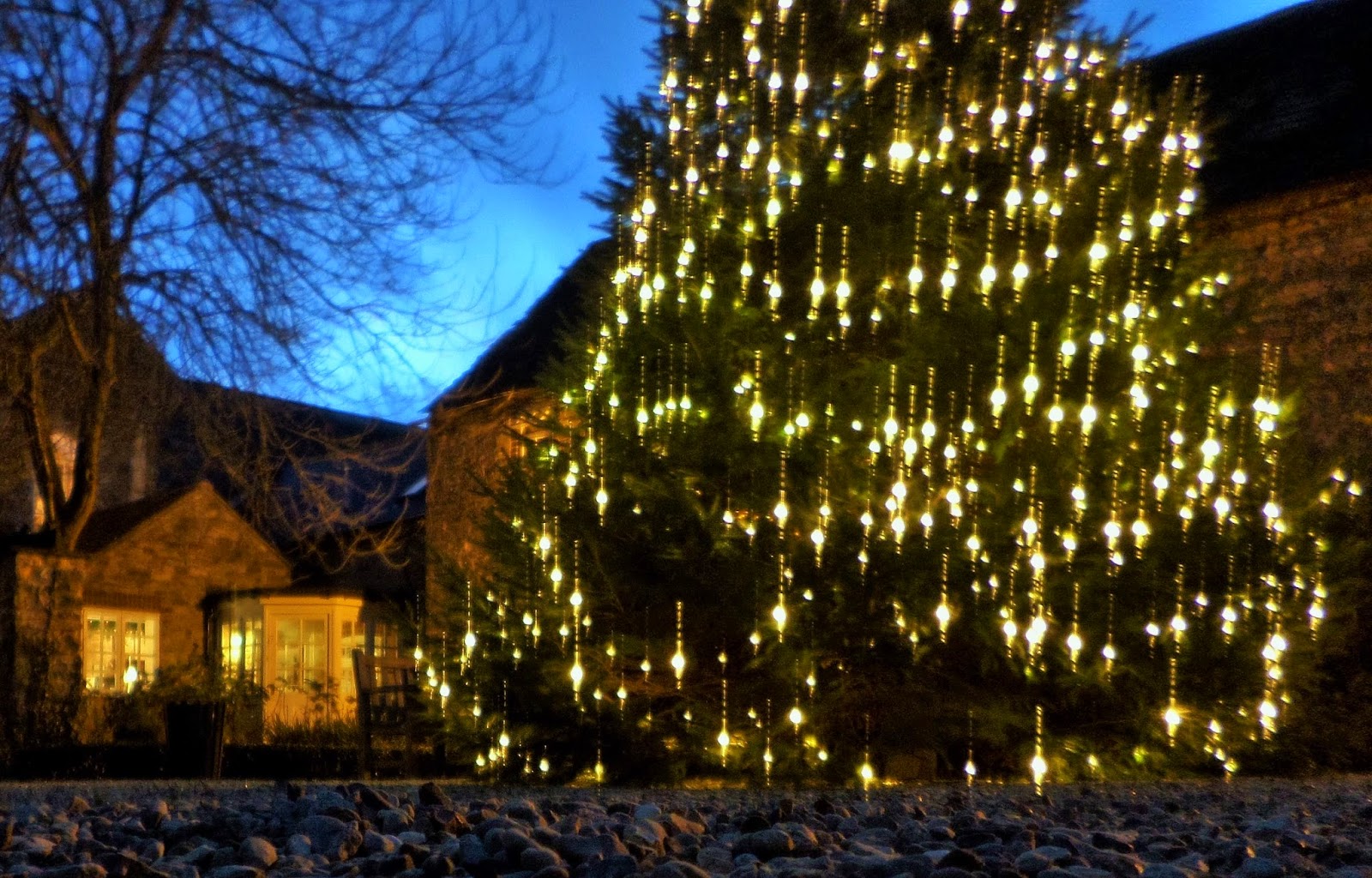 Martin Brookes Oakham Barnsdale Lodge Hotel Rutland Christmas Trees