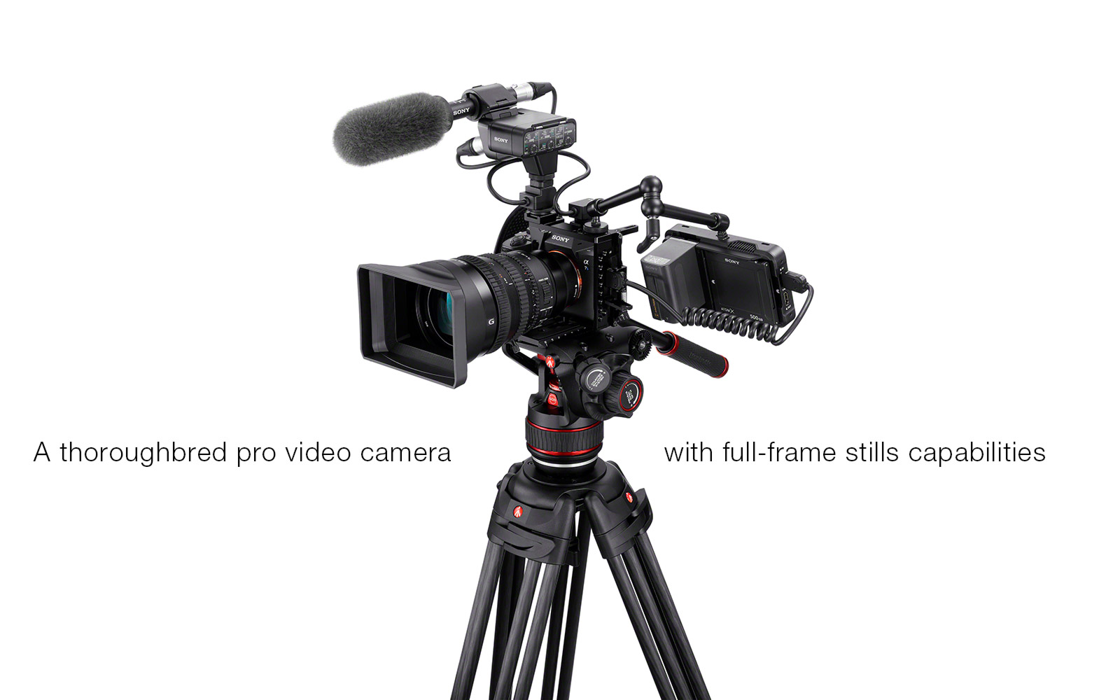 Sony a7S III specs and comparison - Park Cameras Blog