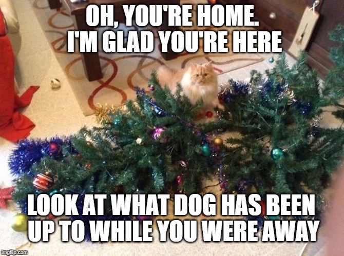 Mamaw S Place The Cat And The Christmas Tree