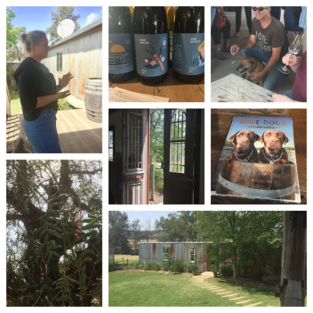 Collage of Owner Trine Gay and "book cover" labels and Bruce Nozick with winery dog and cellar door reading and outbuilding for events and peppercorn tree and charming rustic doors