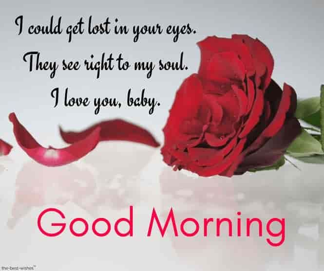 7000 Good Morning Love Images Free Download Now Ak47viralnewsrohitkalathiya