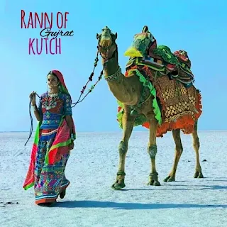 rann of kutch rann of kutch lake rann of kutch map rann of kutch festival rann of kutch gujarat rann of kutch war rann of kutch in gujarat india rann of kutch india rann of kutch salt desert rann of kutch border