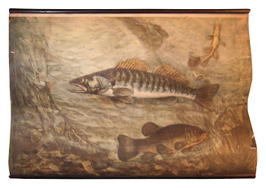 vintage fish canvas chart