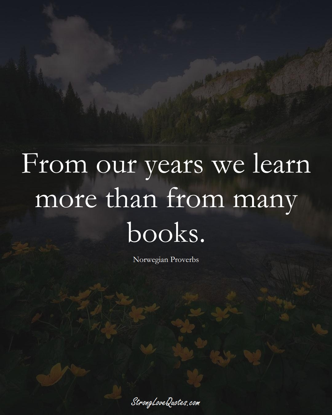 From our years we learn more than from many books. (Norwegian Sayings);  #EuropeanSayings