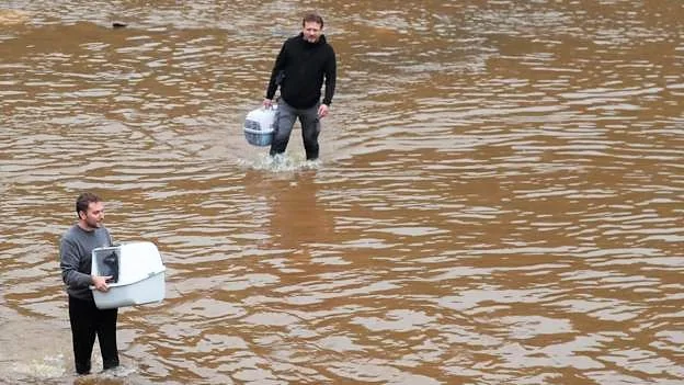 A couple of guys in flood water with cat carriers and their cats inside. This is the first photographic evidence that I have seen of cat rescue in the floods. These guys are in Belgium which was also badly affected.