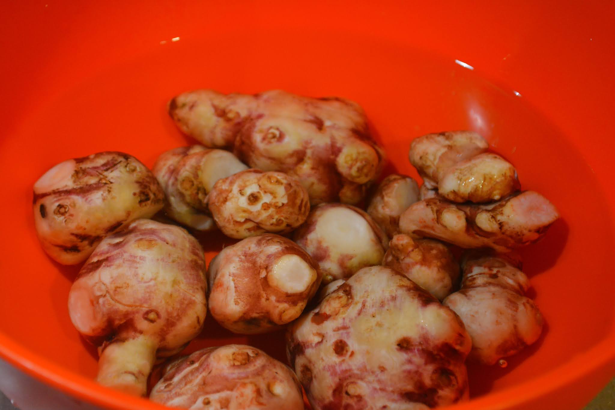 yemek yolculugumda ogrendigim her sey yer elmasi sotesi