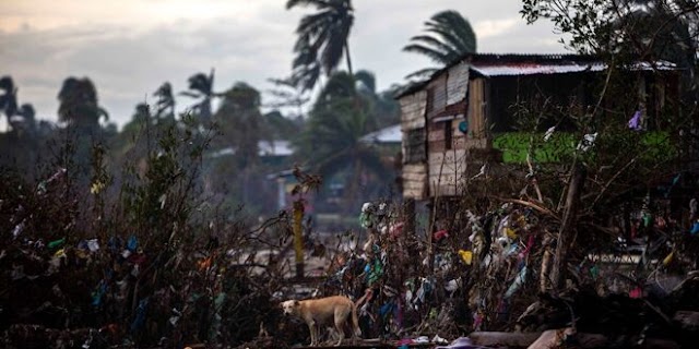 La isla de Providencia quedó destrozada tras el paso del huracán Iota
