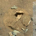 Ανθρώπινο οστό βρήκε το Curiosity στον Αρη.