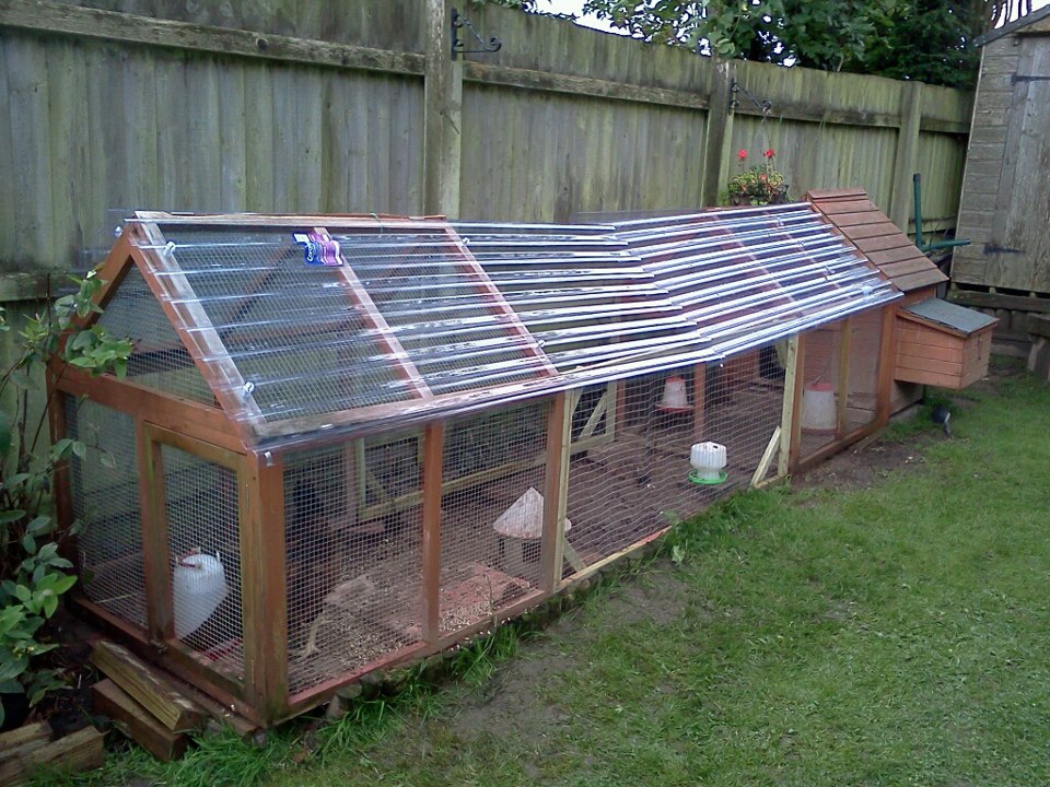 Homers Homestead The Back Garden Poultry Hatcher Mud Mud Mud in the