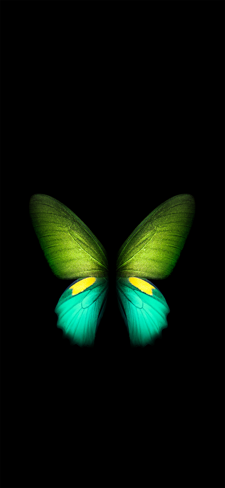 New Collection HD Wallpaper for iPhone (21)