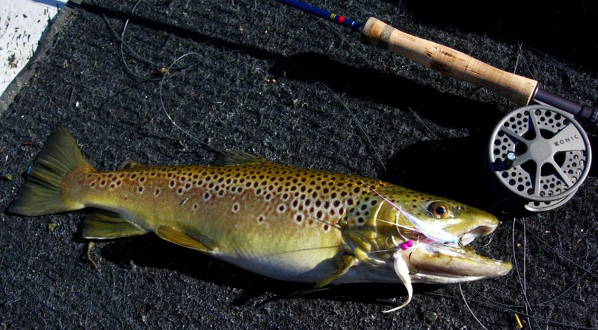 Anglers Choice Flies News Feed: Family and flies