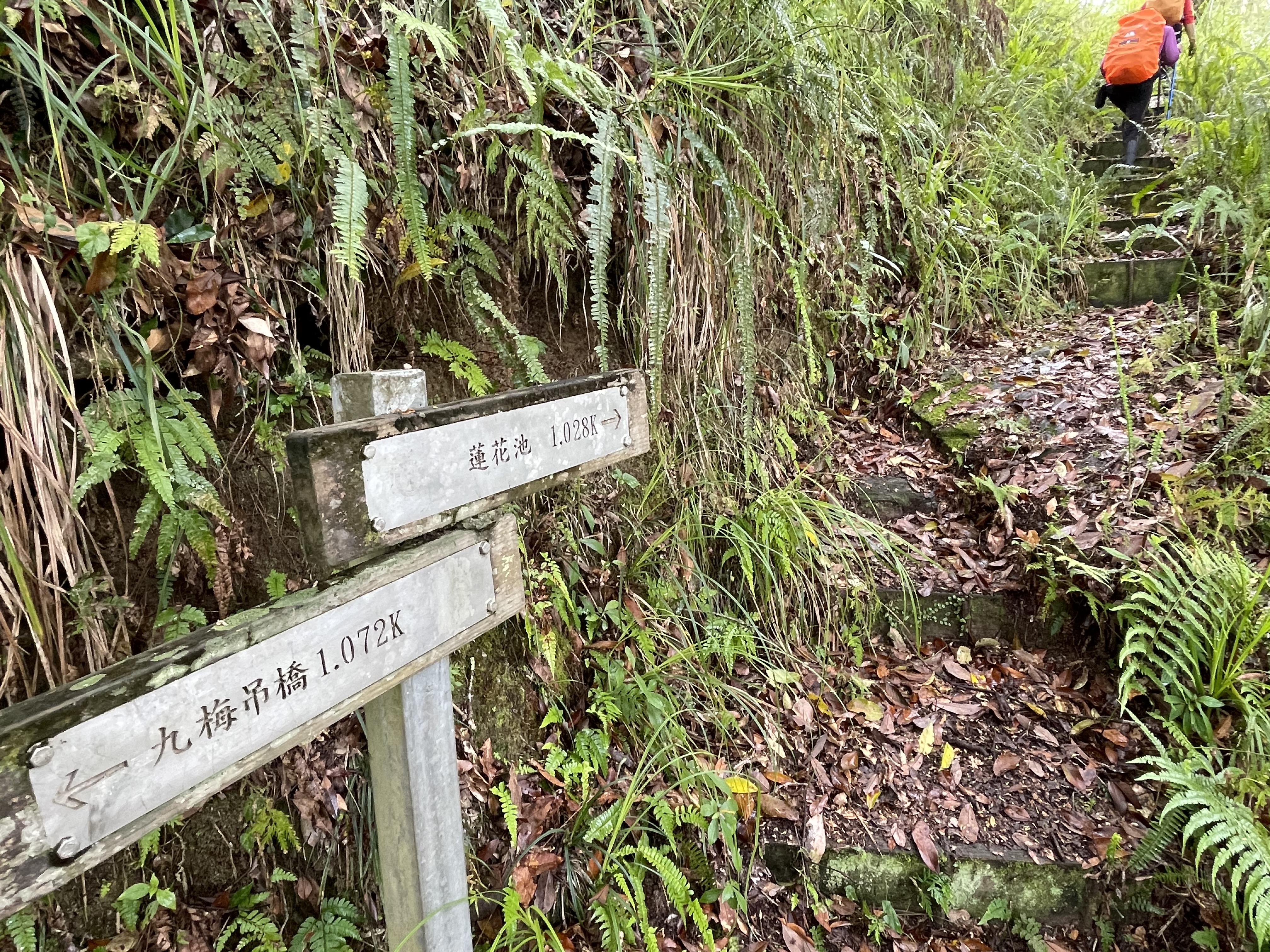 前往蓮花池的指標