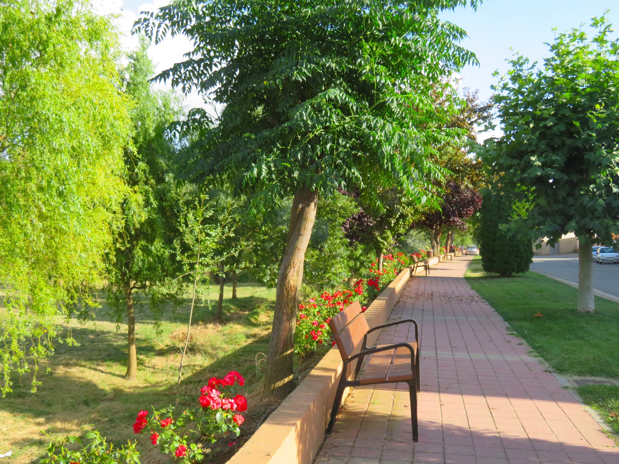 En Busca del Hada Azul Santa Colomba de las Monjas y el graffiti de Parsec