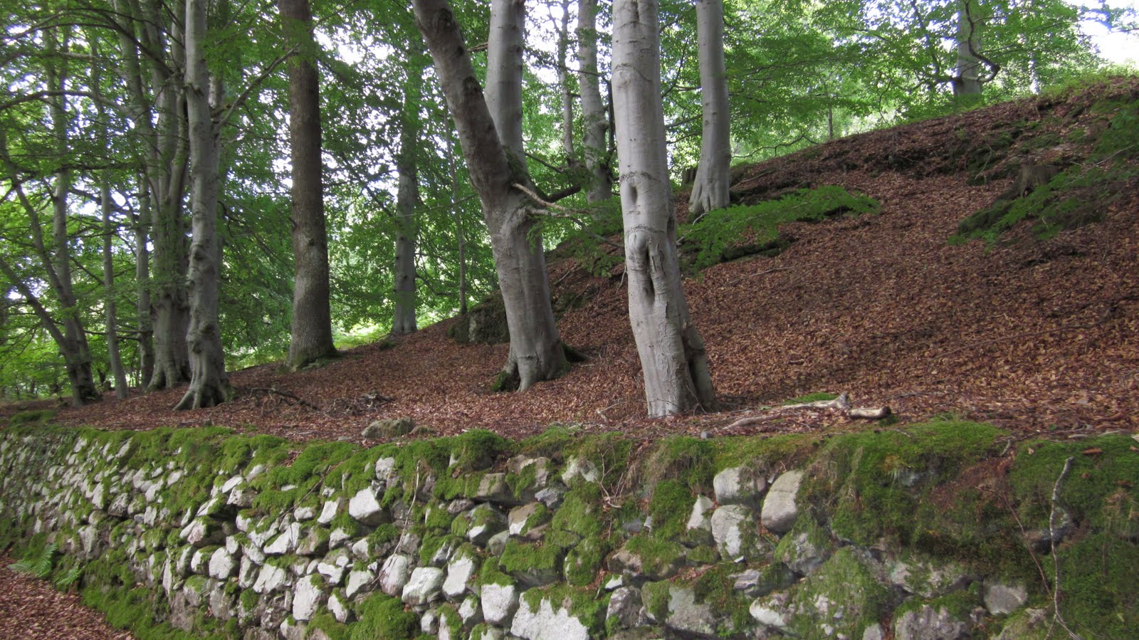 French 75 adventures in life Kilmuir Burial grounds, Scotland