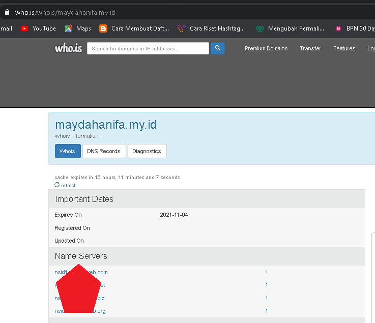 cek settingan domain cek settingan domain