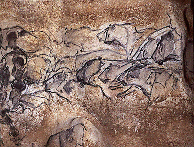 Lions, rhino and buffalos drawn in charcoal in the Chauvet cave in south-east France