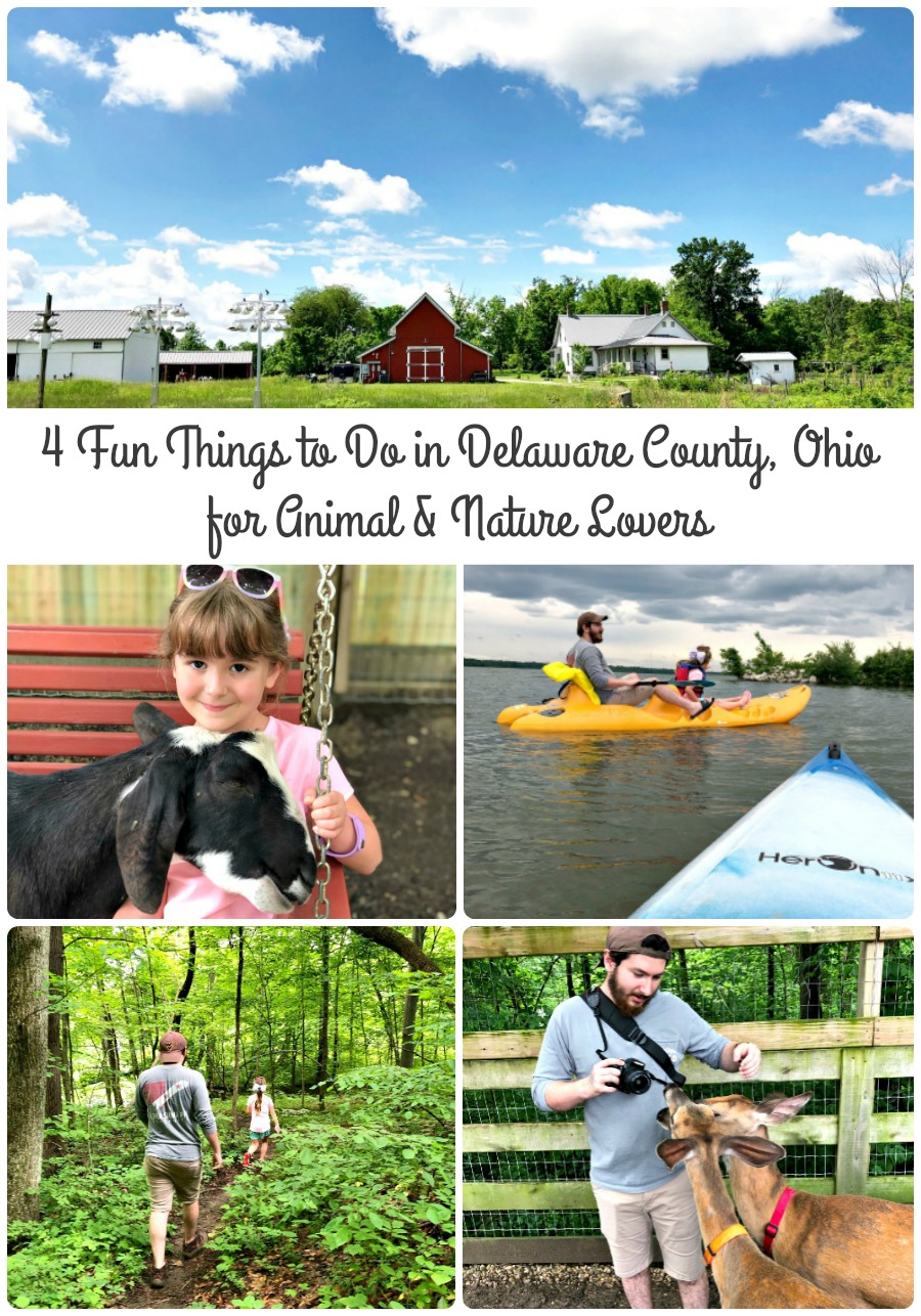 frugal-foodie-mama-4-fun-things-to-do-in-delaware-county-ohio-for