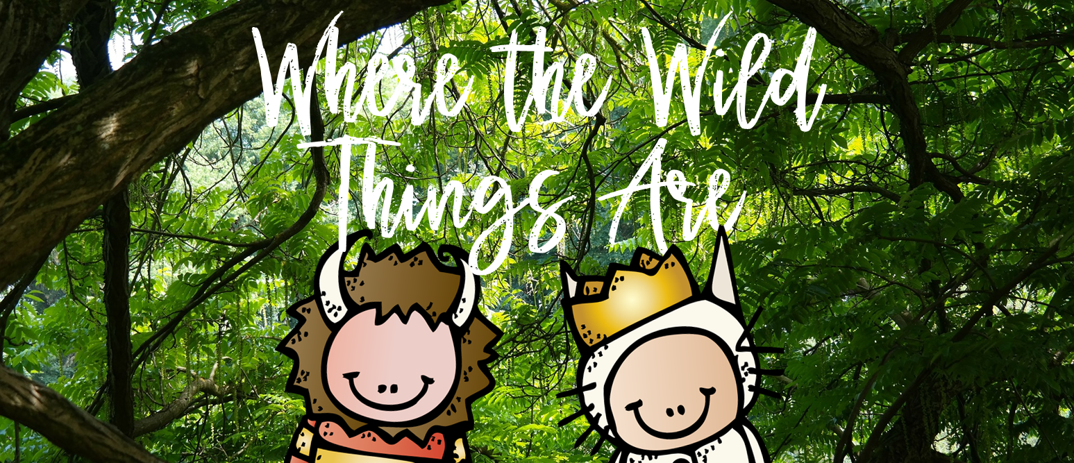 Where the Wild Things Are book study activities unit with Common Core aligned literacy companion activities for Kindergarten and First Grade