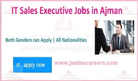 it sales executive jobs in ajman part time marketing what is a sales executive