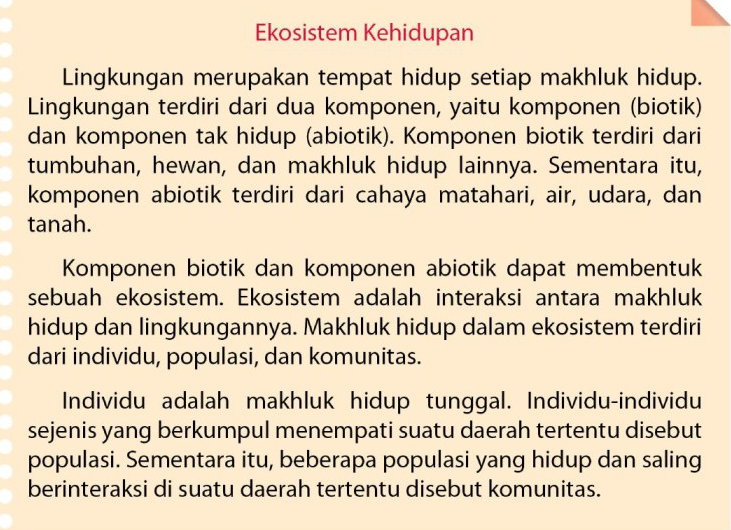 Magic Blog Tema 5 Ekosistem