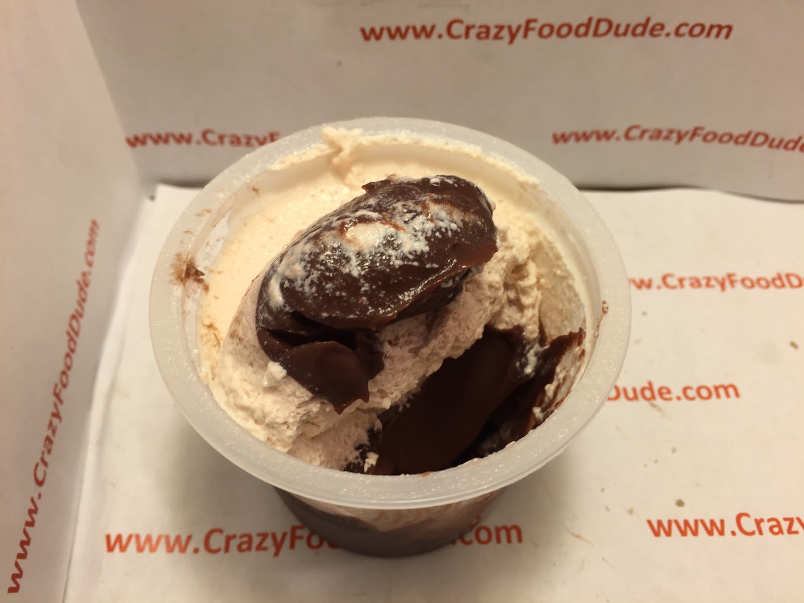 Crazy Food Dude Review Hershey's S'mores Pudding Cups
