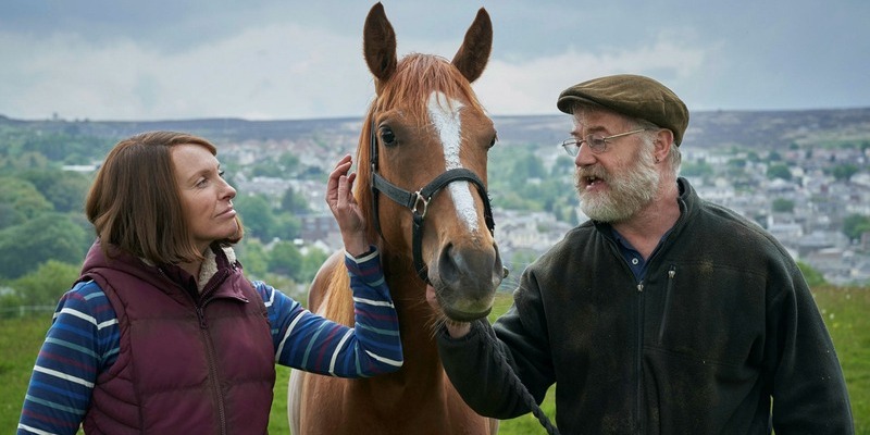 dream horse