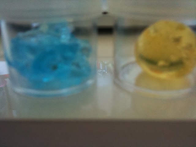 Chenxi's awesome world: A Science Orbeez Experiment