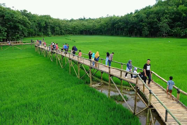Cafe Tepi Sawah Pujon Kidul Cafe Tepi Sawah Pujon Kidul