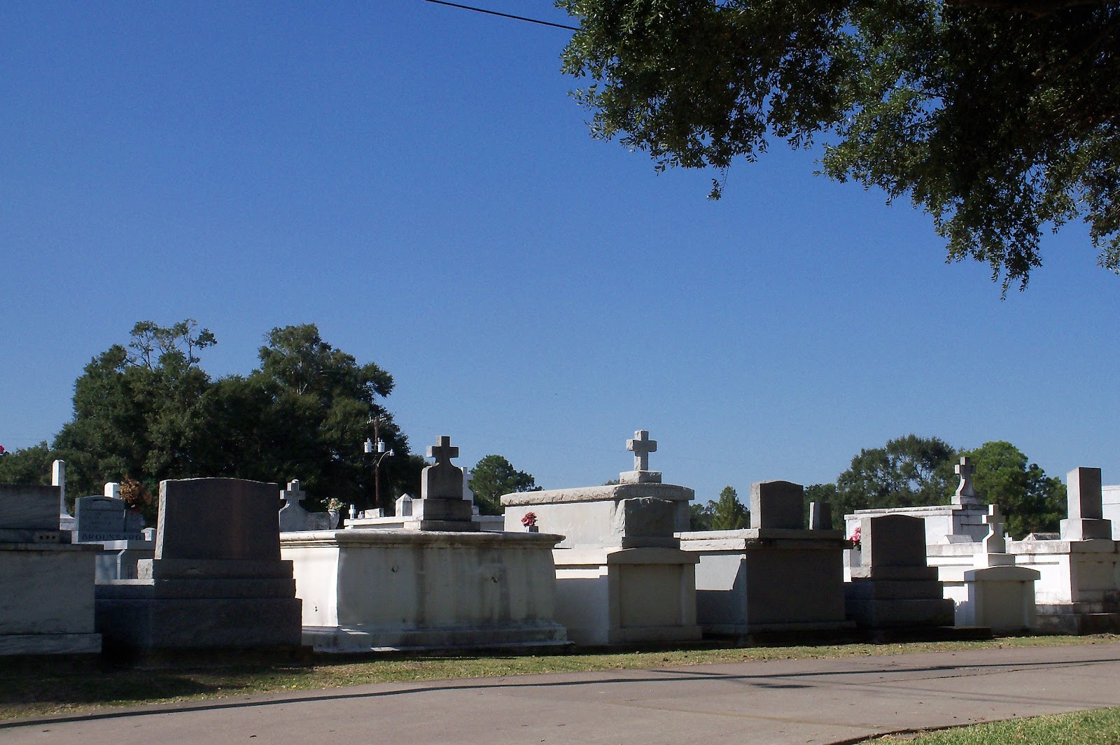 Traveling with the Longdogs A Visit to Butte LaRose, Louisiana