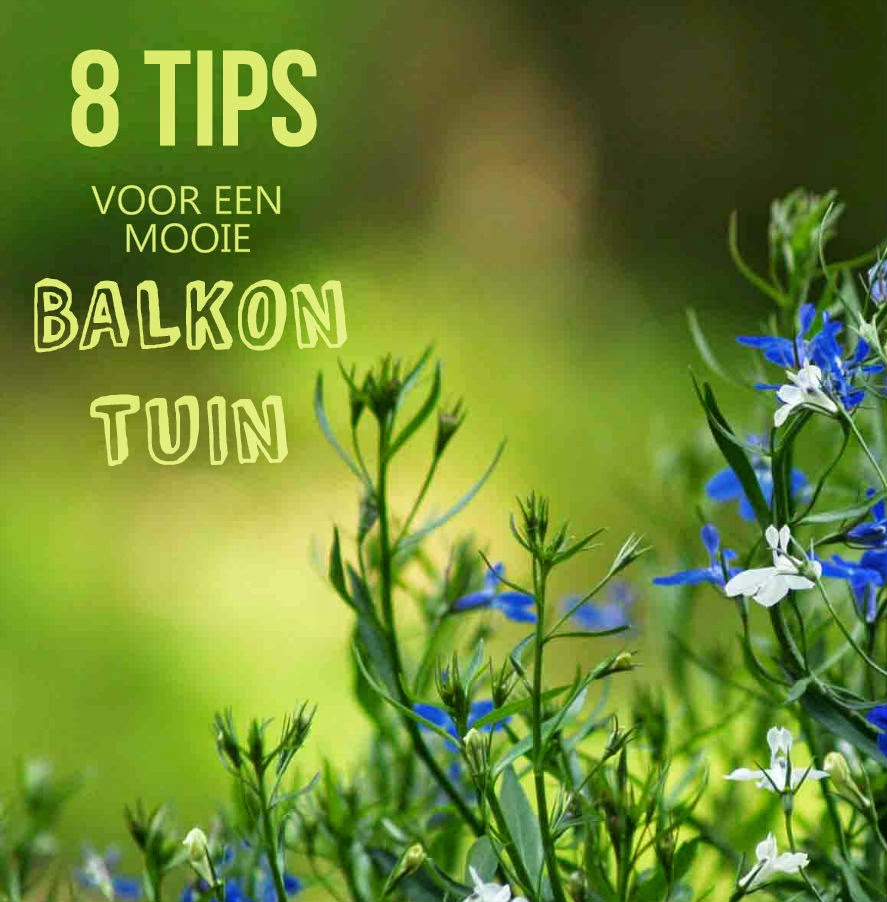 balkontuin moestuin stadstuinieren daktuin