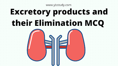 Excretory products and their elimination MCQ