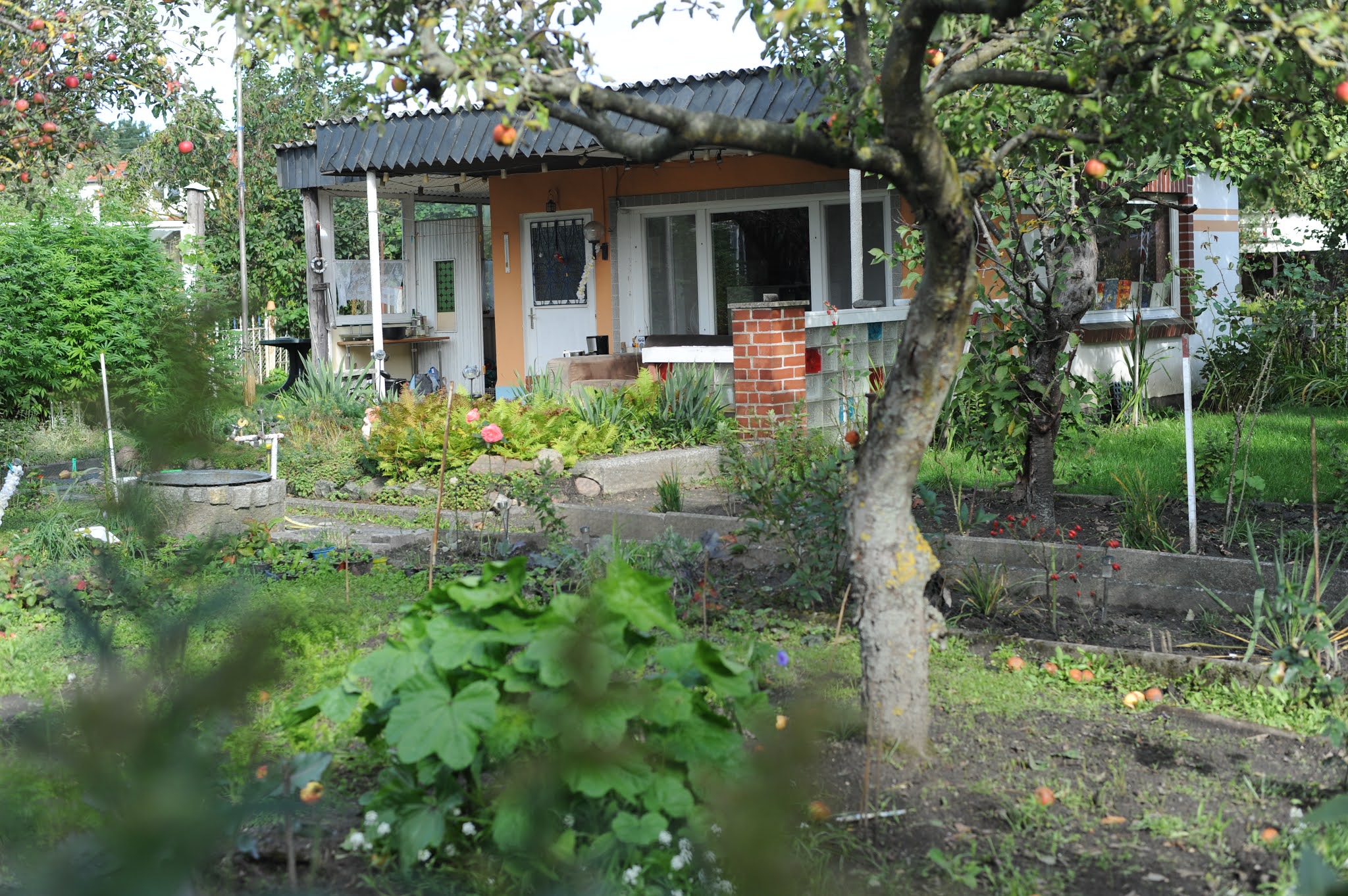 DIE KGA PÜTTERWEG Offene Gärten in MV 2021