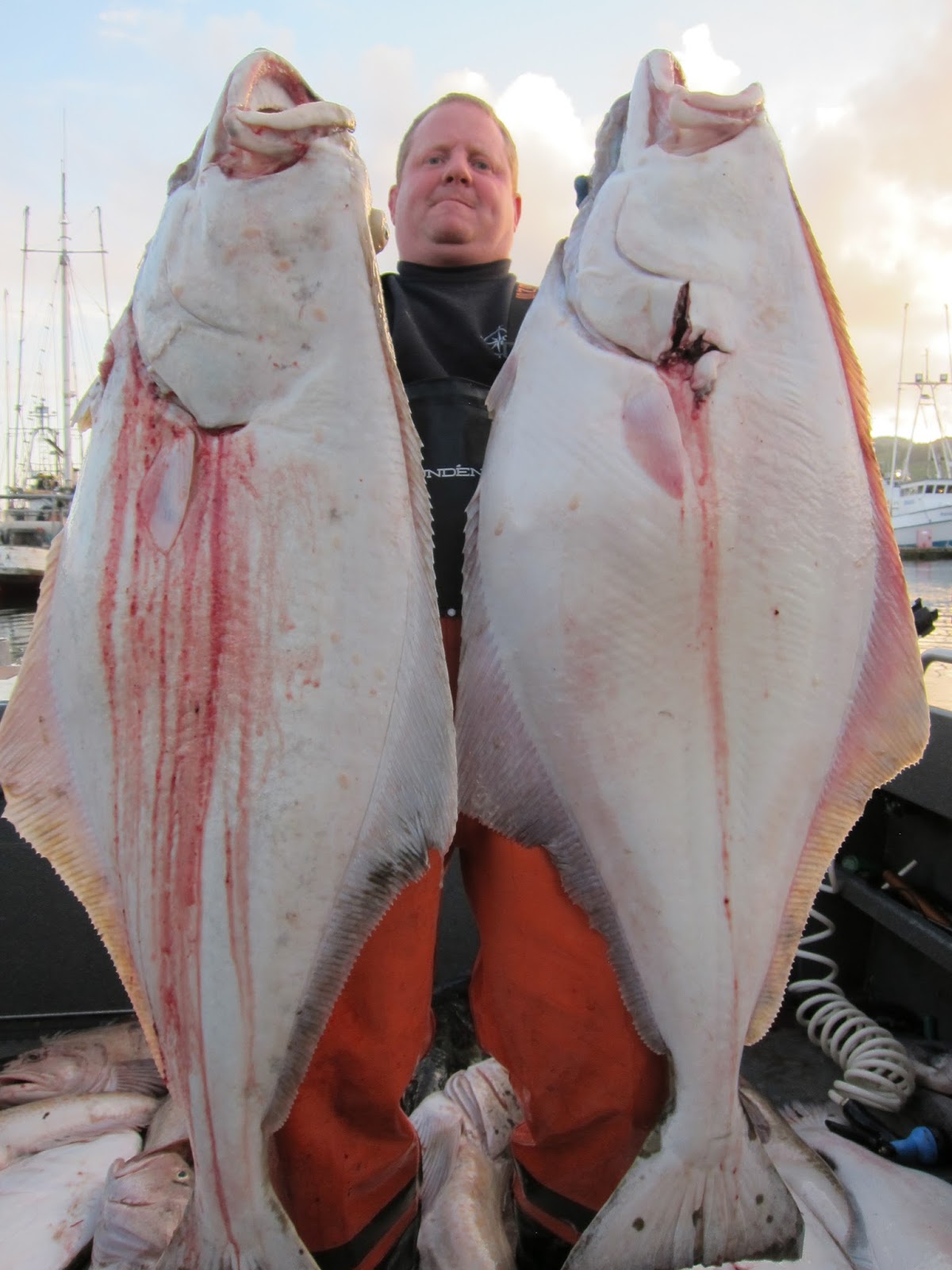 Todds Extreme Fishing Neah bay halibut, lingcod, rockfish