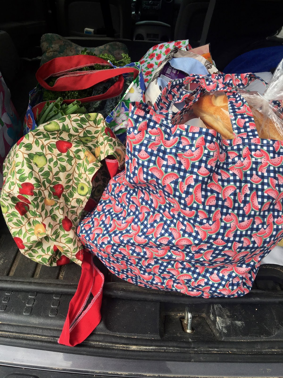 Green Bag Lady Colorado Bags!