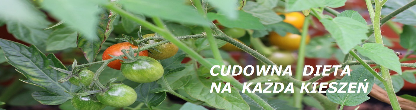 Cudowna dieta na każdą kieszeń