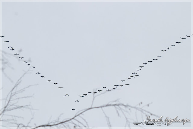 IMG_5625-1.jpg IMG_5625-1.jpg