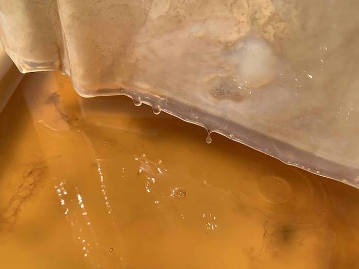 Chingum — Discover Curiosities Xylinum Mask, The Homegrown Biodegradable Face Mask