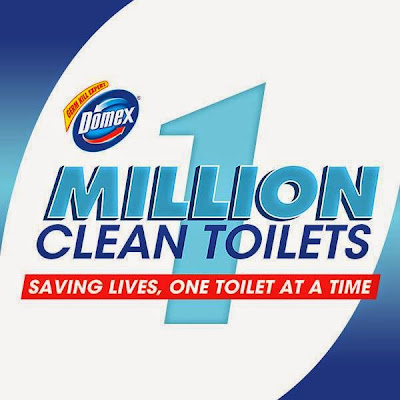 domex one million clean toilets movement