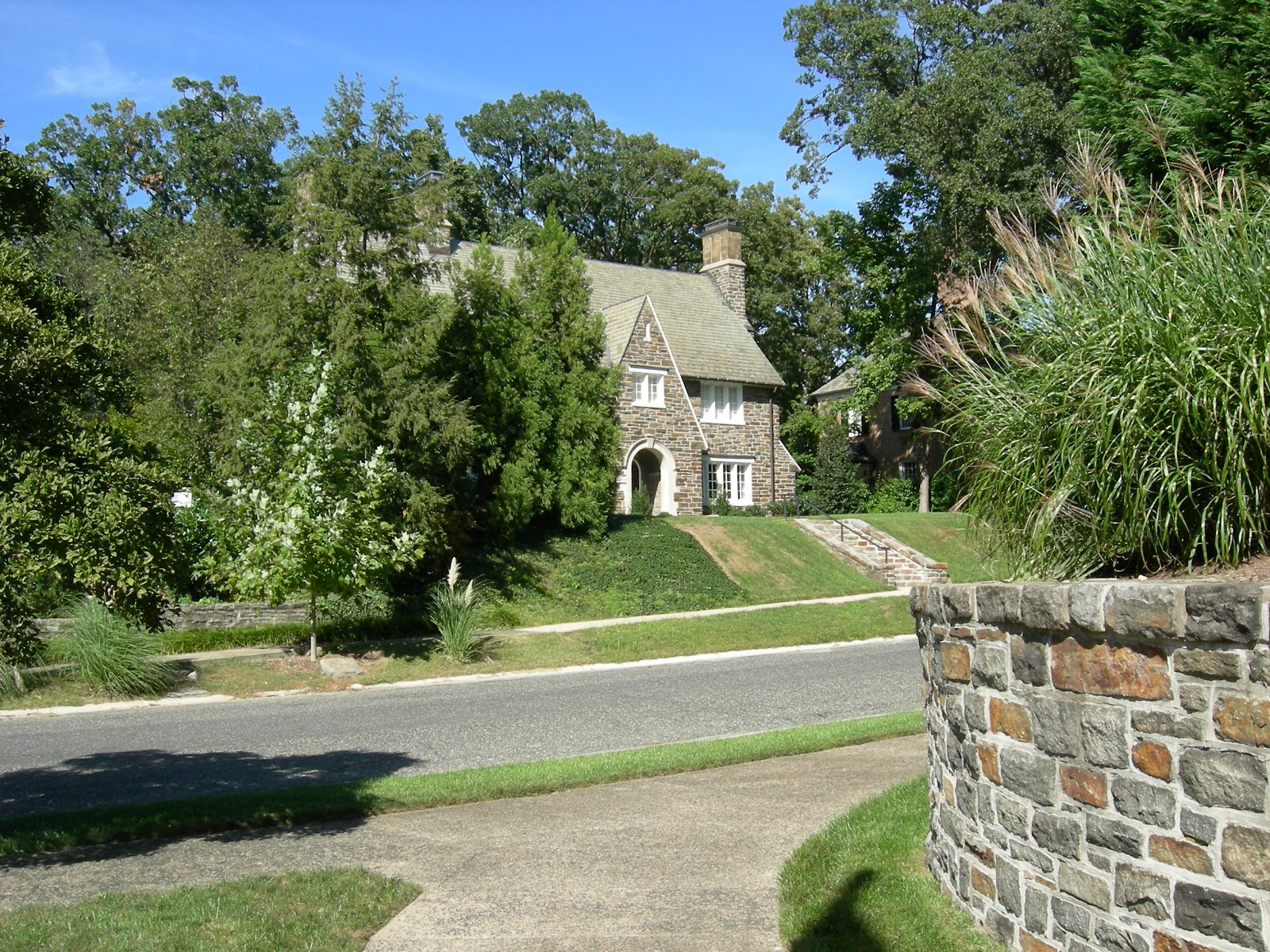 Nature walk descriptive essay image