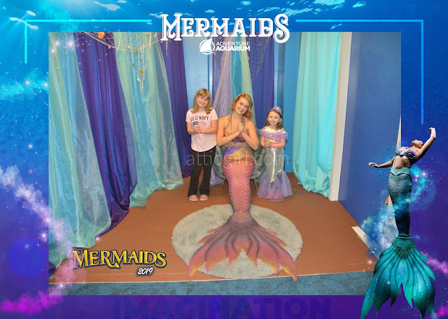 Adventure Aquarium Attractions Mermaids